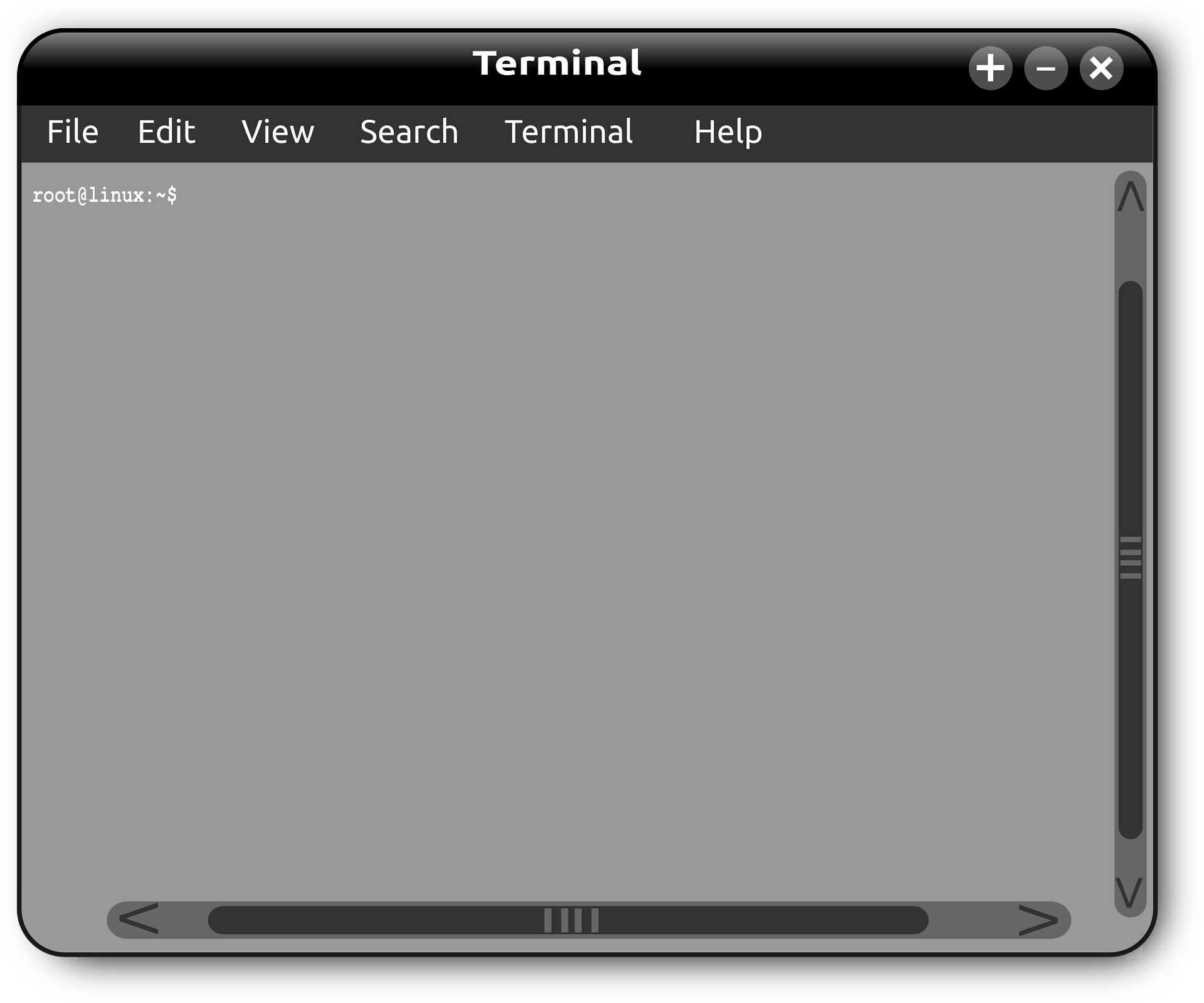 Linux Terminal